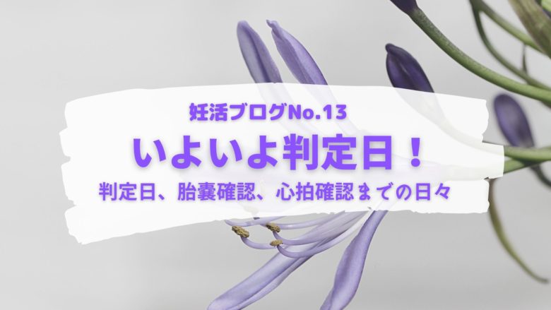 体外受精後の判定日 移植後の症状の変化 胎嚢 心拍確認まで 妊活ブログ 妊活と美容と To You Someday